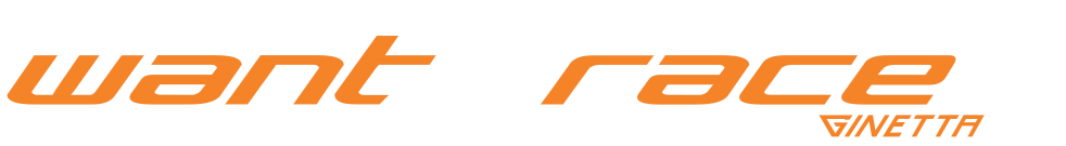 Ginetta Logo